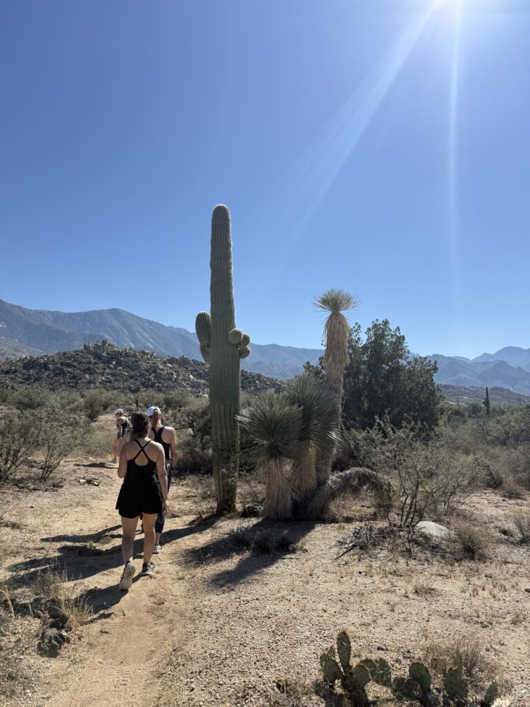 Women's wellness retreat group hiking Sonoran Desert at Miraval Arizona